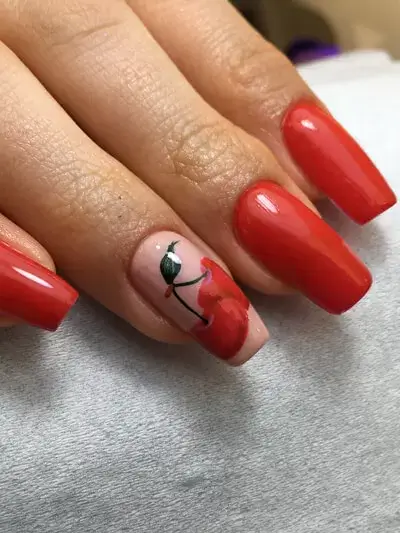 Construcție gel 8 constructie gel