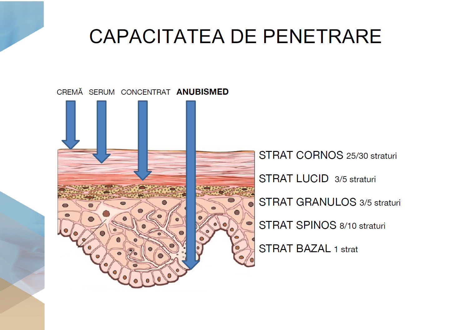 Dermapen capacitatea de penetrare